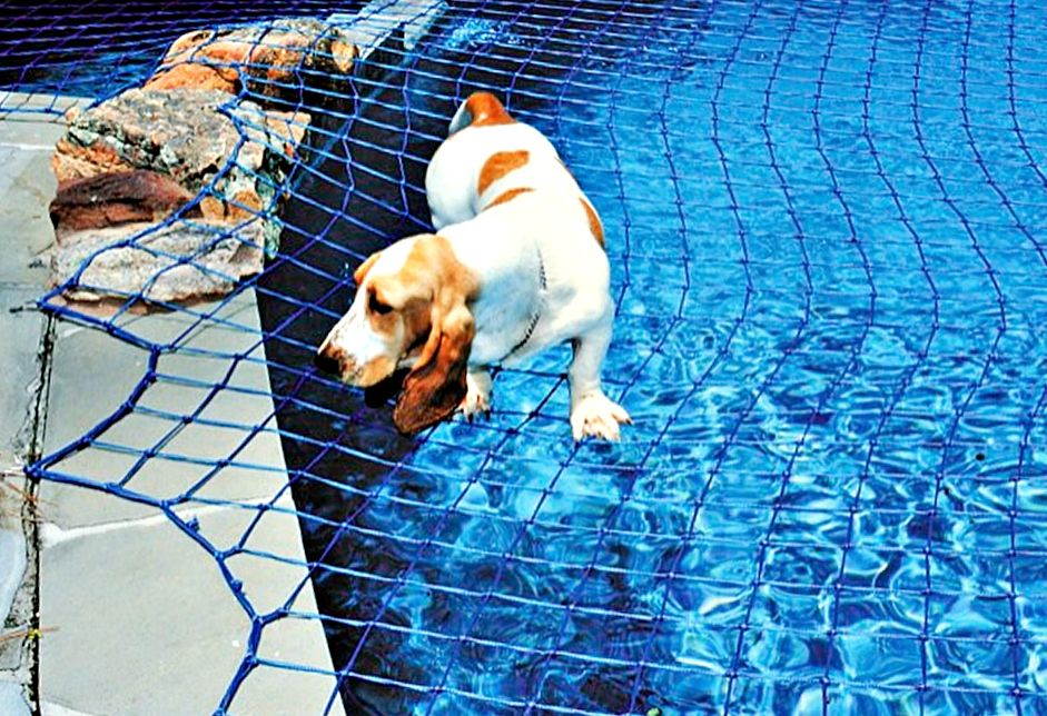 Pool Safety Nets